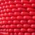 Pixels, Patterns, Phenotypes - Computing for Fingerprinting Life